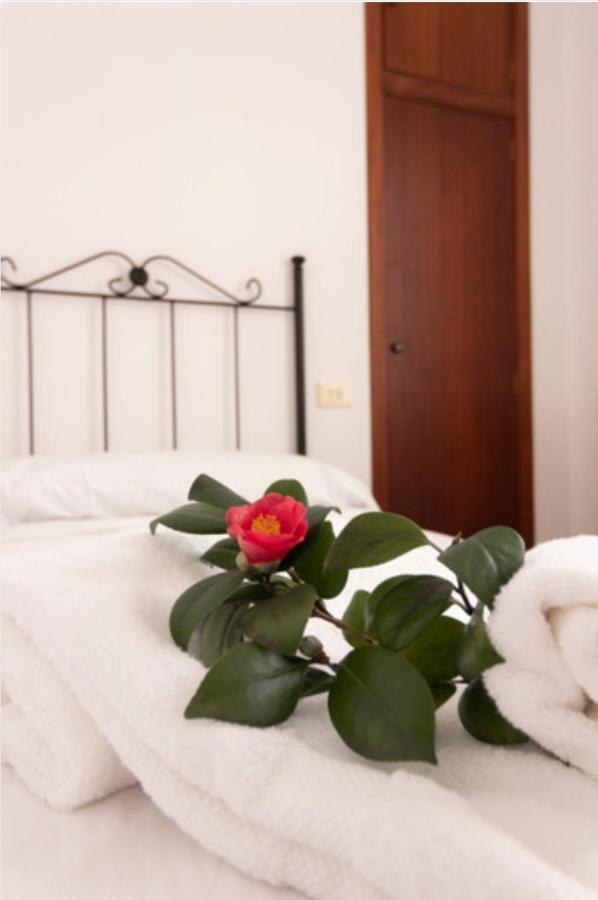 Hostal San Cristobal - Pontedeume المظهر الخارجي الصورة