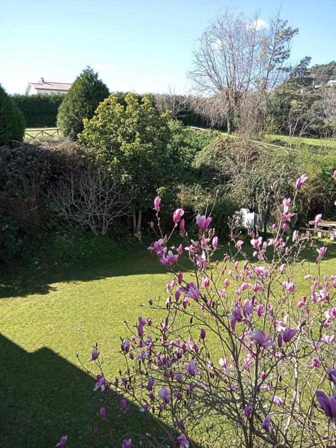 Hostal San Cristobal - Pontedeume المظهر الخارجي الصورة